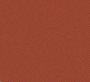 TS-33 Dull Red, 100ml Spray Lacquer Paint