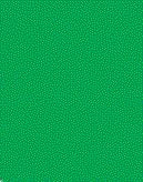 TS-35 Park Green, 100ml Spray Lacquer Paint