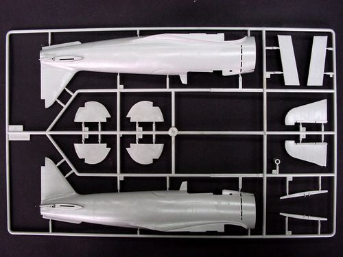 NAKAJIMA A6M2-N RUFEFLOATPLANE