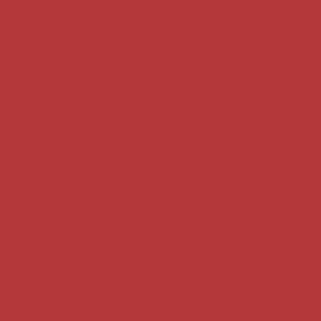 Dark Vermillion