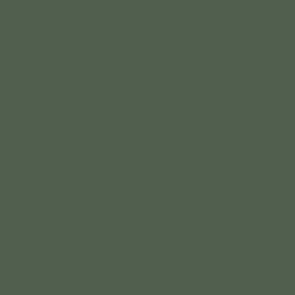 Gunship Green