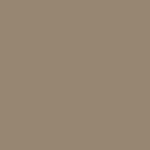 Camouflage Sandbrown RAL 8031