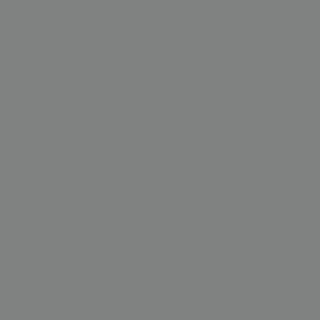Agressor Gray