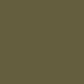 AMT-4 Cam. Green