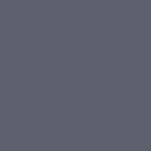 AMT-11 Blue Grey