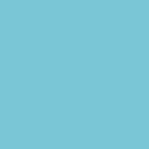 AII SV. Gol Light Blue