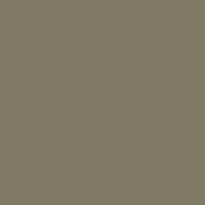 A-21 Light Greyish Brown