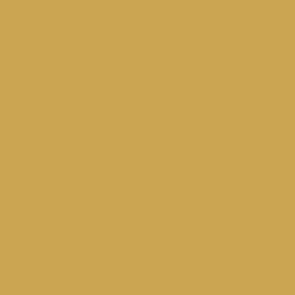 Nº17 Earth Yellow