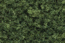 3" - 7" MED GREEN DECID TREES 6/KT