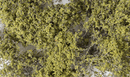 OLIVE GREEN FINE LEAF FOLIAGE