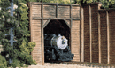 N TUNNEL PORT TIMBER SGL 2EA