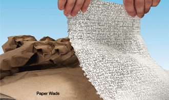 NO-NEWS PAPER