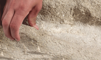 MOLD-A-SCENE PLASTER 1/2 GAL