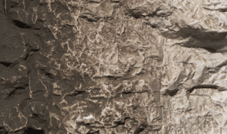 RAW UMBER TERRAIN PAINT 4 OZ