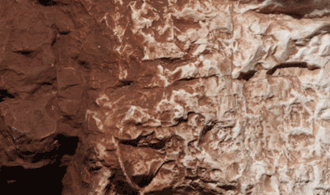 BURNT UMBER TERRAIN PAINT 4 OZ