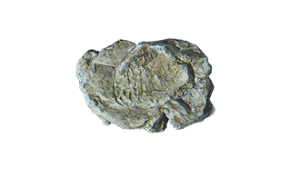 ROCK MOLD-WIND ROCK (5X7)