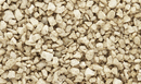 MEDIUM BUFF TALUS