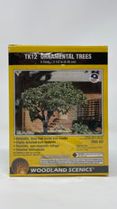 Ornamental Small Metal Tree Kit 2 1/2 inch