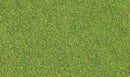 GREEN BLEND FINE TURF