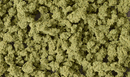 OLIVE GREEN BUSHES (BAG)