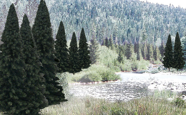 Trees Value Pack- 2" - 4" Evergreen (18)