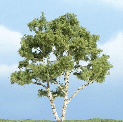 3 7/8" PREM BIRCH 1/PK