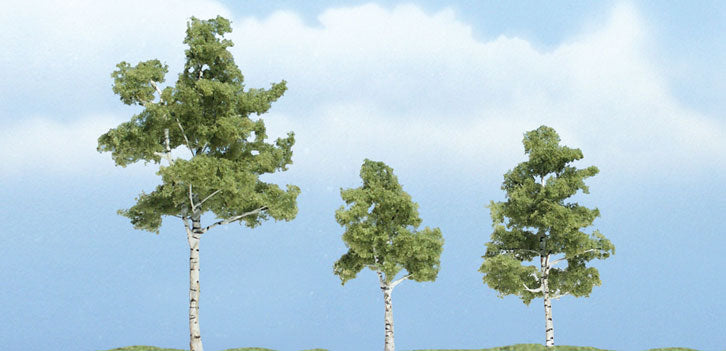 2 3/4" - 1 1/2" - 2 1/4" PREM PAPER BIRCH 3/PK