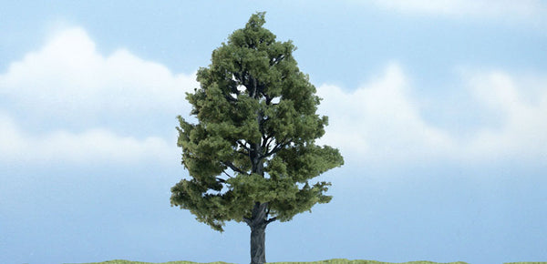 4" PREM SWEETGUM 1/PK
