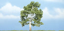3 7/8" PREM SYCAMORE 1/PK