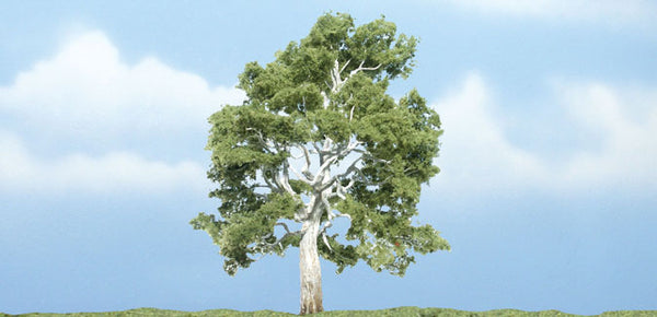 3 7/8" PREM SYCAMORE 1/PK