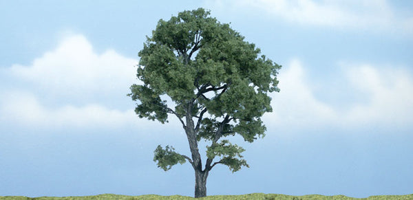 4 1/2" PREM MAPLE 1/PK