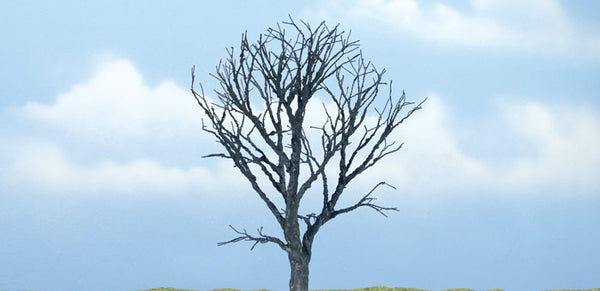 4 1/4" PREM DEAD MAPLE 1/PK