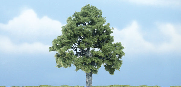4" PREM BEECH 1/PK