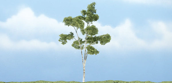 4" PREM PAPER BIRCH 1/PK