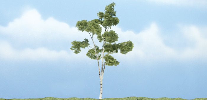 4" PREM PAPER BIRCH 1/PK