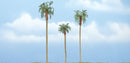4 1/2" - 3" - 4" ROYAL PALM 3/PK