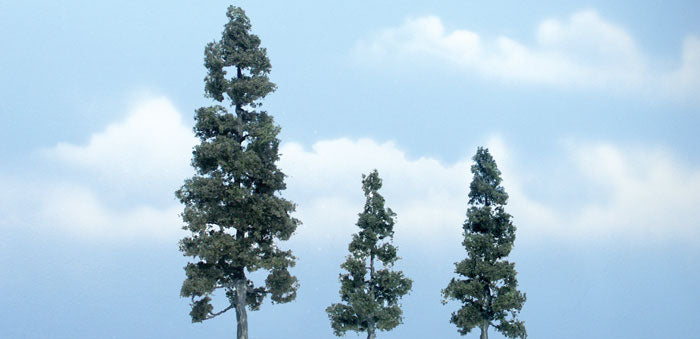 5 1/8" - 2 1/2" - 3" PREM JUNIPER 3/PK