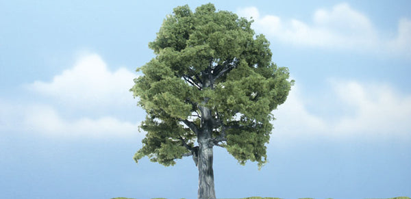 5" PREM OAK 1/PK
