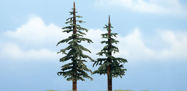 5" - 4" PREM LODGEPOLE 2/PK