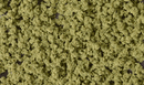 OLIVE GREEN UNDERBRUSH