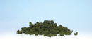 LIGHT GREEN UNDERBRUSH