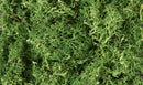 MEDIUM GREEN LICHEN
