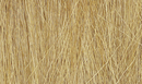 HARVEST GOLD FIELD GRASS