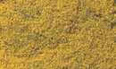 YELLOW FLOWERING FOLIAGE
