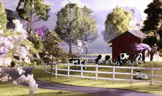 HO HOLSTEIN COWS
