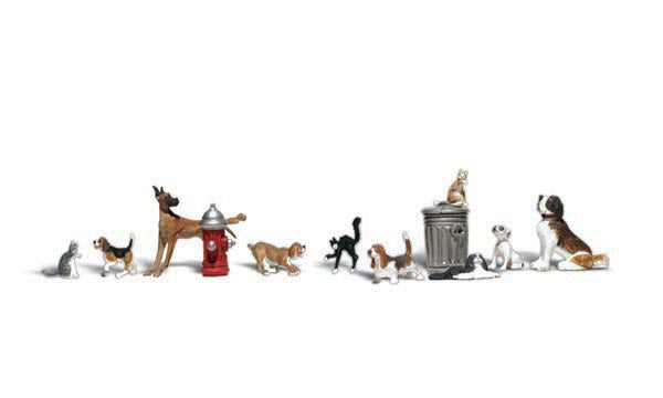 N DOGS & CATS