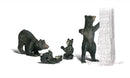 G HARRY BEAR AND FAMILY