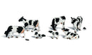 O HOLSTEIN COWS