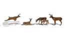 O DEER