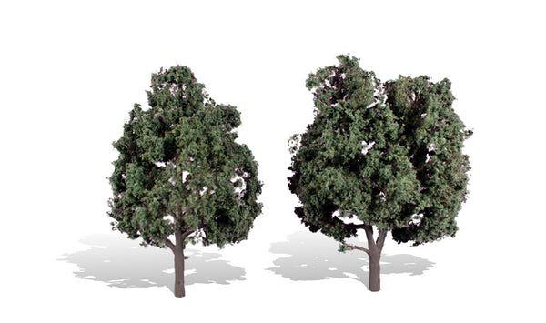 5" - 6" COOL SHADE 2/PK